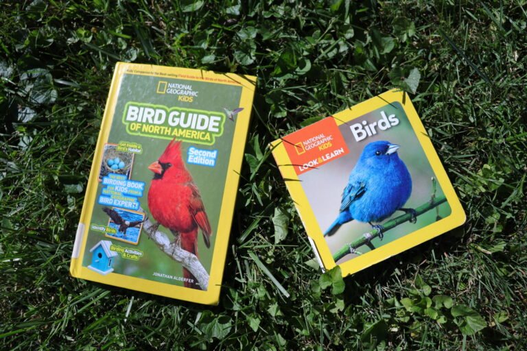 toddler bird books on grass