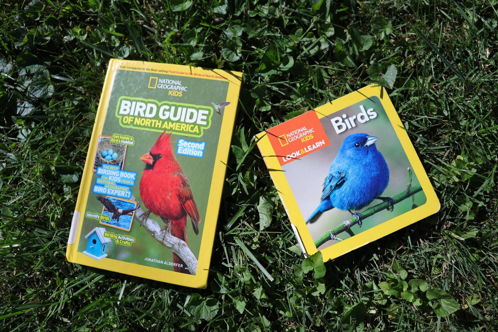 toddler bird books on grass