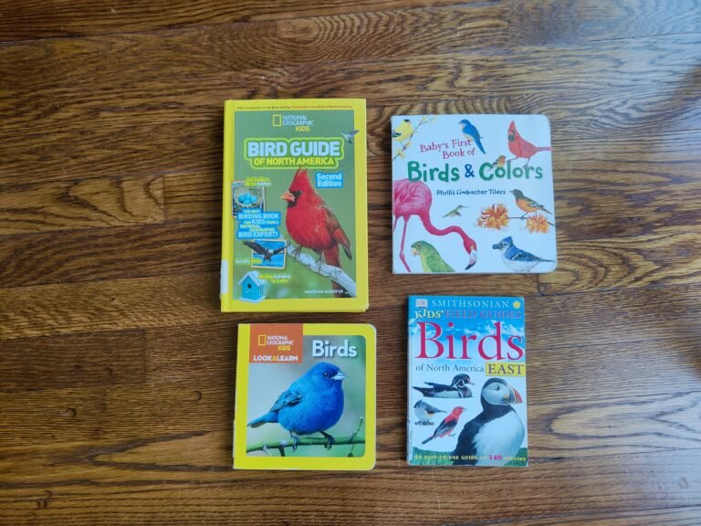 Books about Birds for toddlers