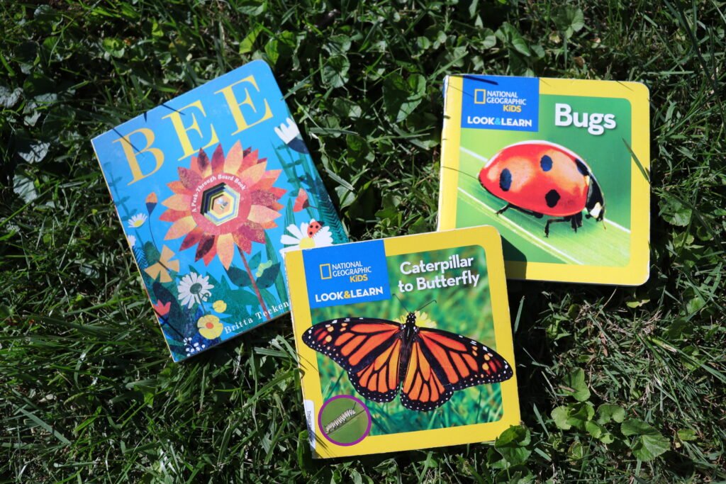 toddler books about bugs